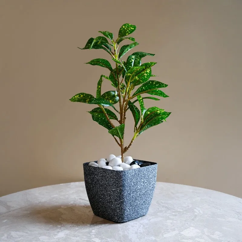Monvia Garden Planter - Set Of Three media 7