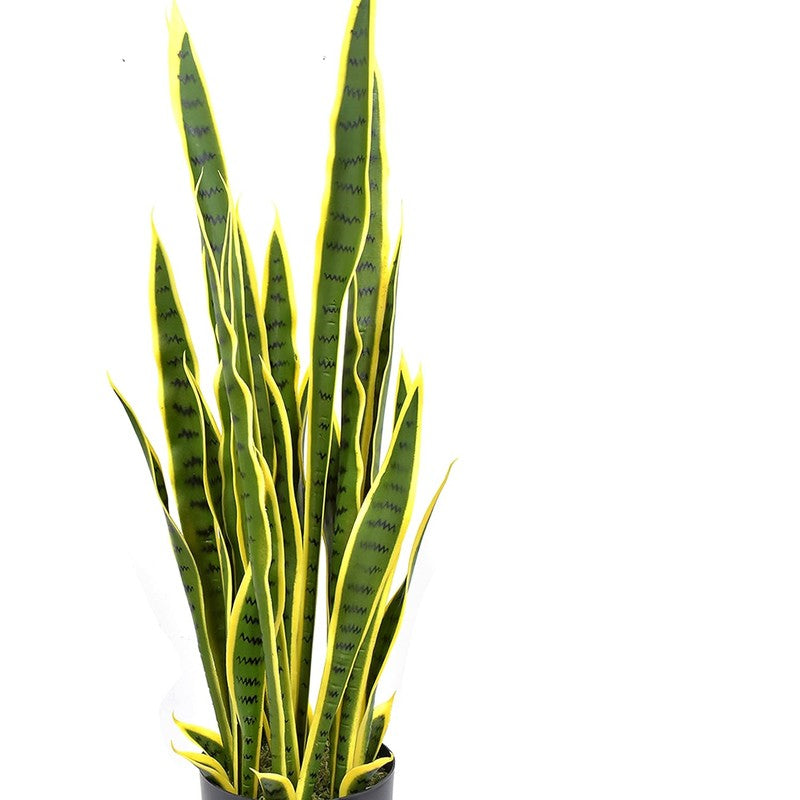 Plantae Artificial Snake Plant With Black Plastic Pot - 3.2 Feet media 4