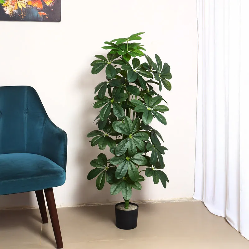 Verdiq Artificial Schefflera With Black Plastic Pot - 4 Feet media 3