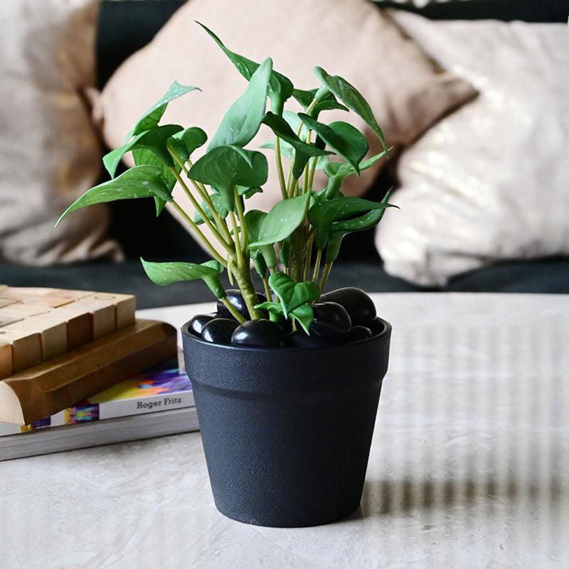 Moniva Artificial Pothos/Money Plant With Black Plastic Pot (Green) - 19 cm media 5