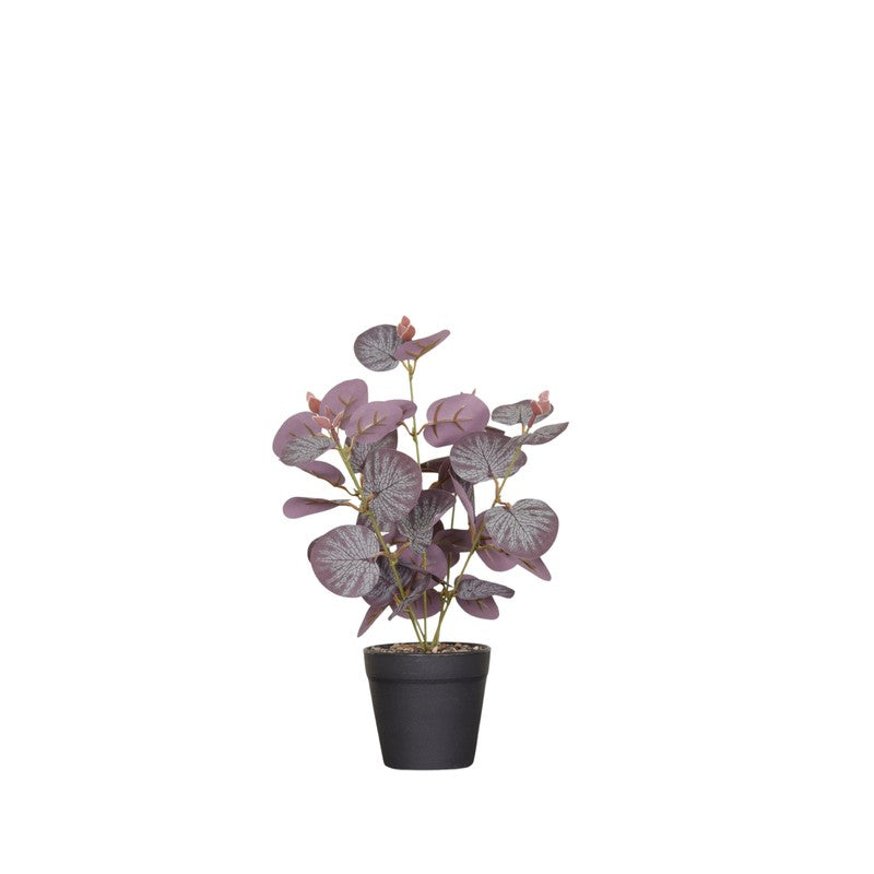 Artificial Eucalyptus Plant With Black Fiber Pot (Purple) - 1 Feet media 4