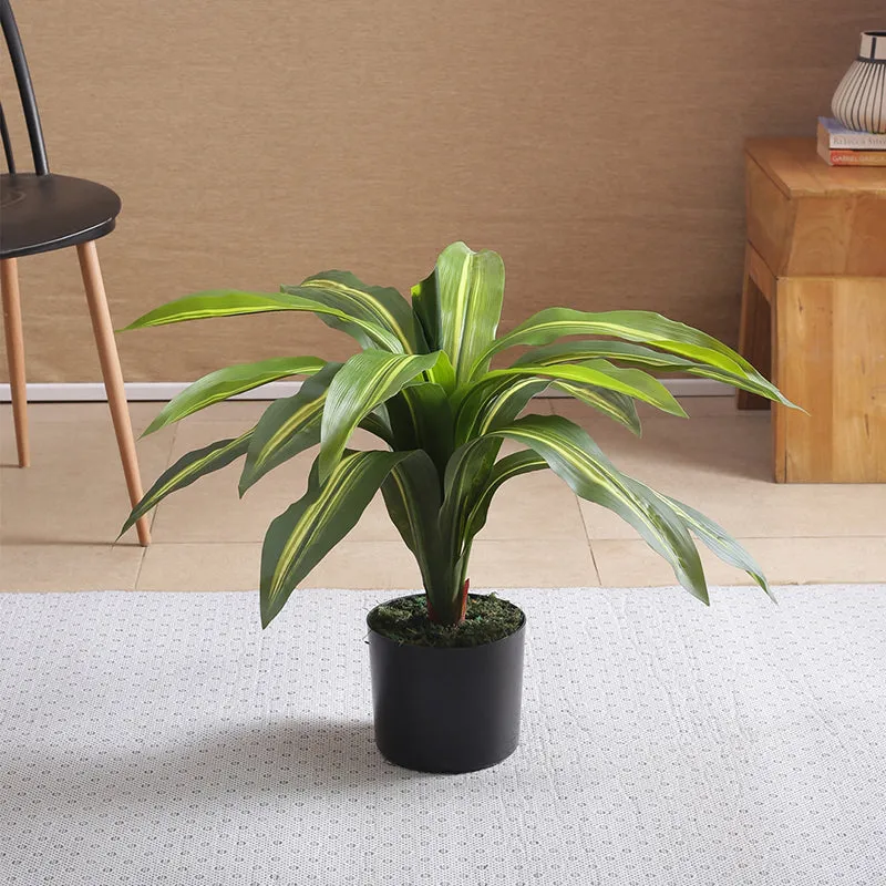 Faux Dracaena Plant With Black Plastic Pot - 2.13 ft media 3