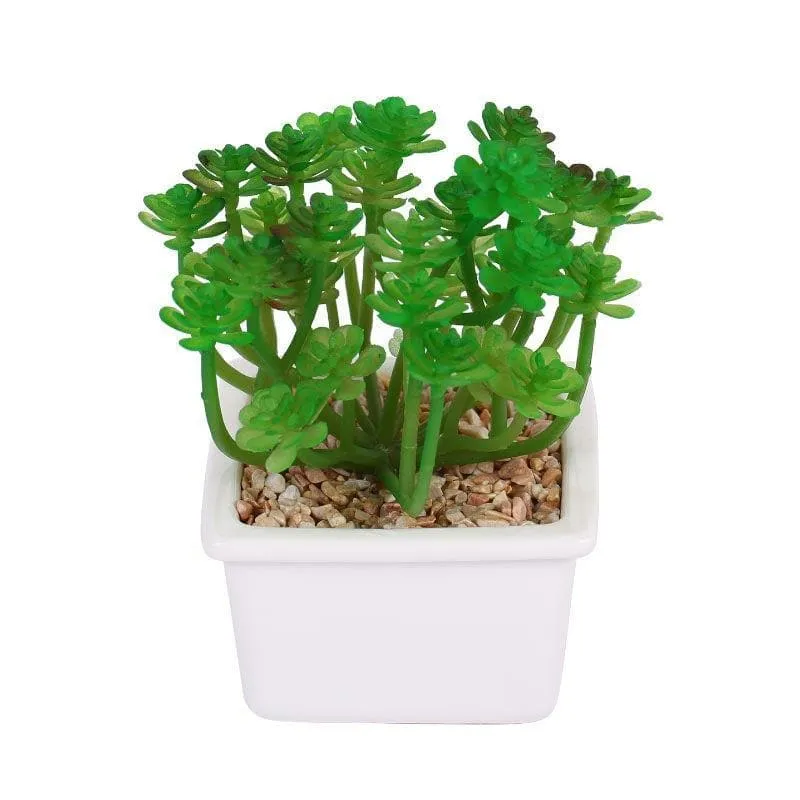 Faux Crassula In White Pot - 14.5 cms media 3