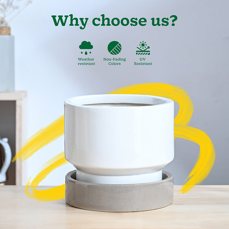 Ugaoo Pot-fection Ceramic Planter - White media 7