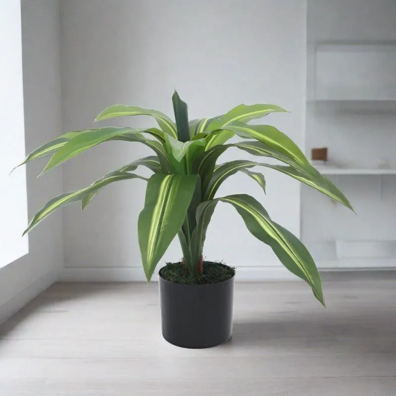 Faux Dracaena Plant With Black Plastic Pot - 2.13 ft media 4