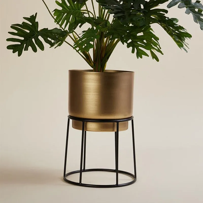 Elsa Gols Planter With Stand media 2