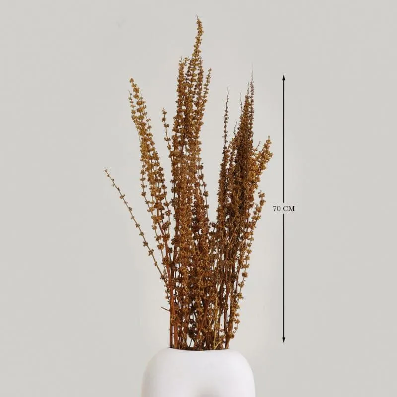 Plato Lavender Dried Palm Grass Bunch - Brown media 4