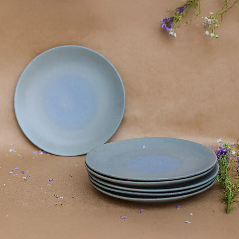 Everware Ceramic Dinner Plate media 4