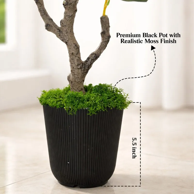 Lemon Aura Artificial Plant With Black Plastic Pot - 93 cm (3.1 ft) media 7