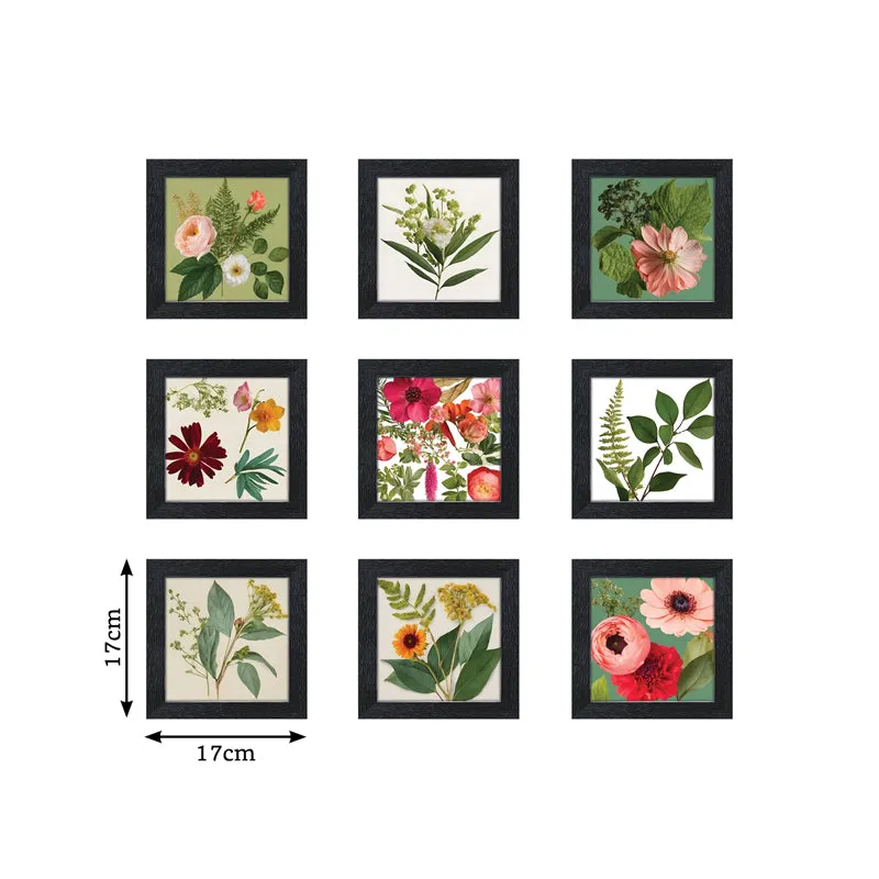 Gardenia Hue Wall Art - Set Of Nine media 7