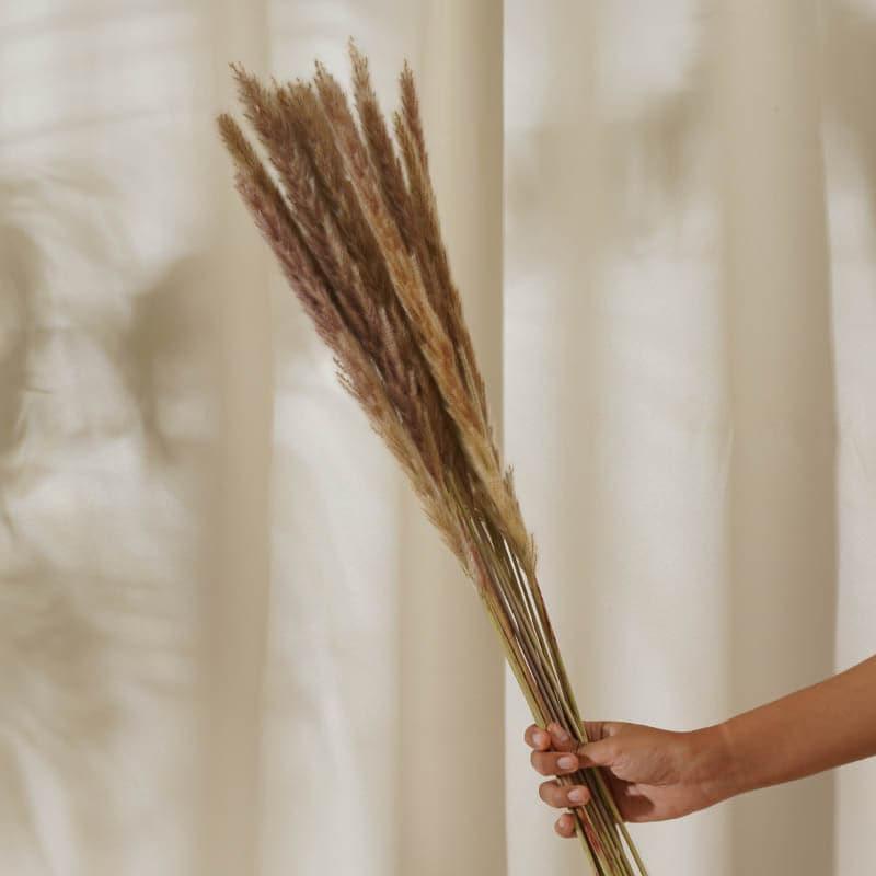 Foxtail Pampas Stems (2.62 ft) - Natural media 3