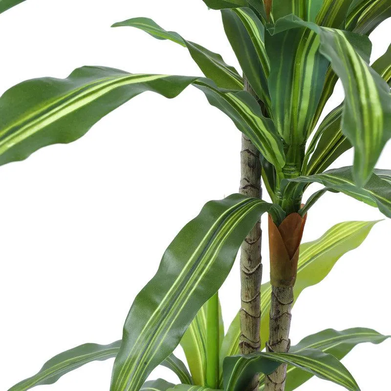 Artificial Realistic Dracaena Plant With Black Plastic Pot - 3.9 Feet media 4