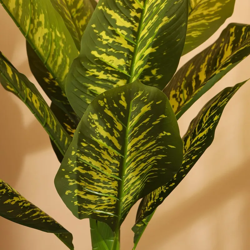 Artificial Dieffenbachia Plant With Black Plastic Pot 3 ft media 7