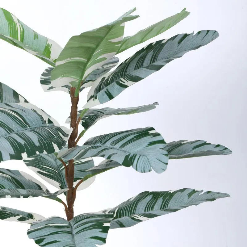 Faux White Calathea Plant With Black Plastic Pot - 2.46 ft media 5
