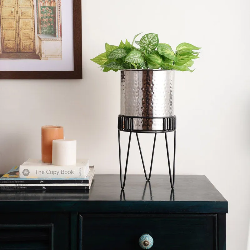 Zenva Stainless Steel Planter - Silver & Black media 2
