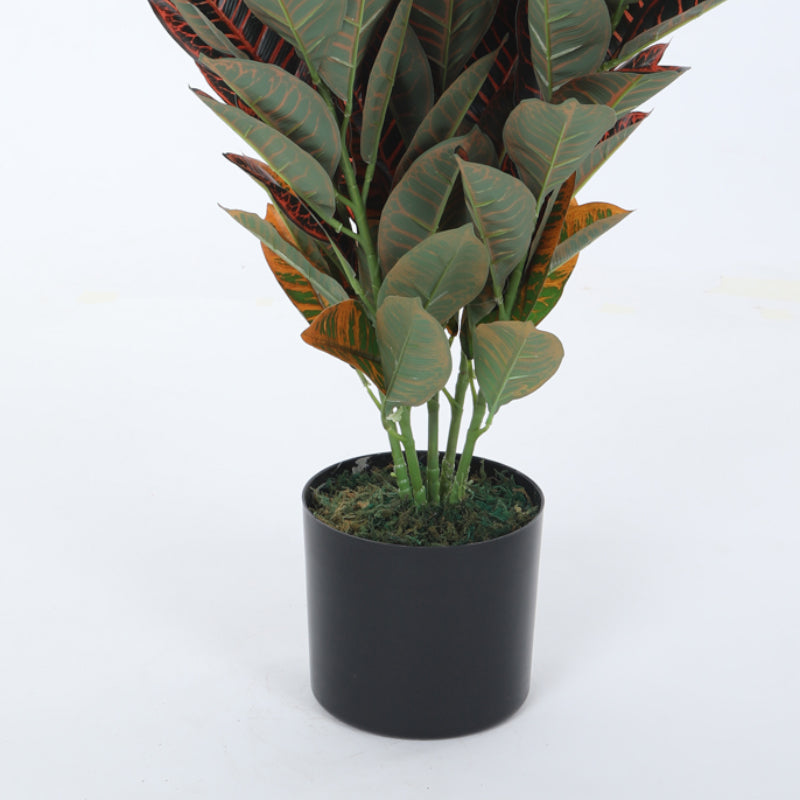 Faux Croton Astroites Plant With Black Plastic Pot - 2.79 ft media 4
