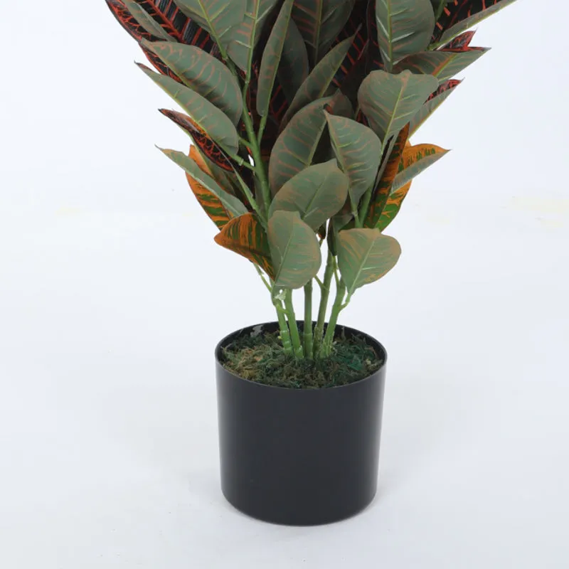 Faux Croton Astroites Plant With Black Plastic Pot - 2.79 ft media 4