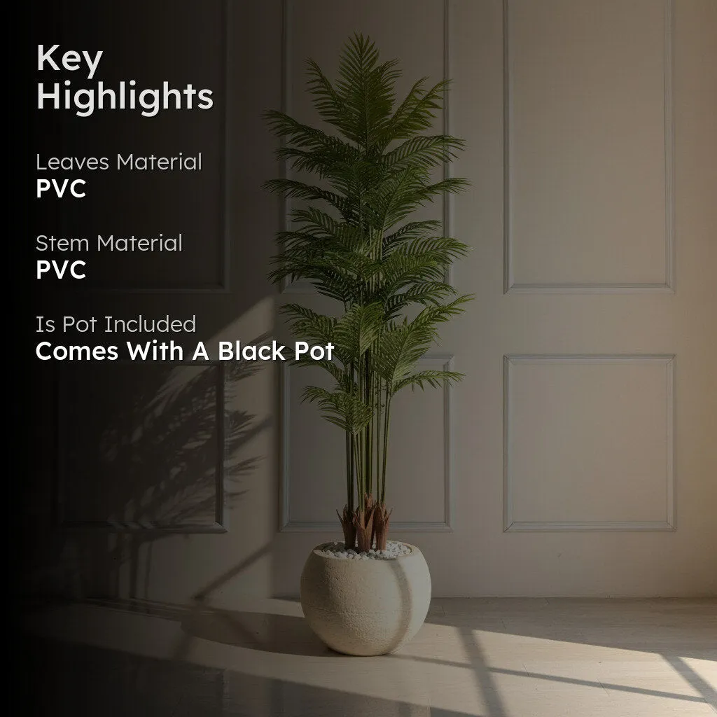 Leafmint Areca Plam Plant With Black Fiber Pot - 6.6 Feet media 2