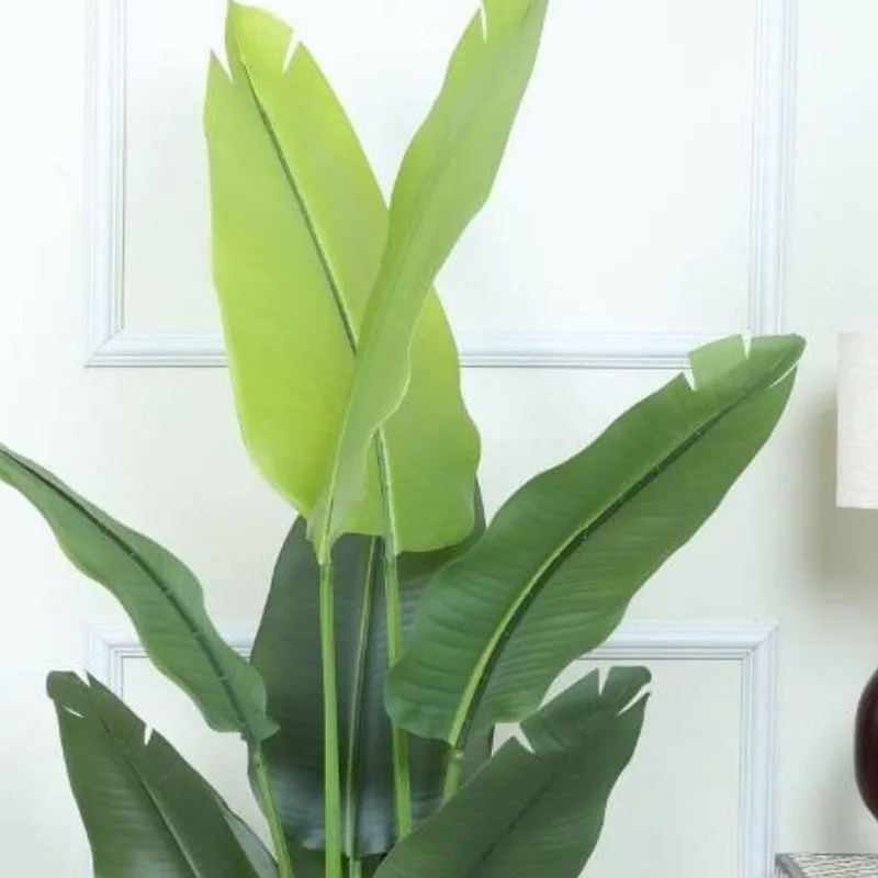 Artificial Travellers Palm Plant With Black Fiber Pot - 4.9 Feet media 5