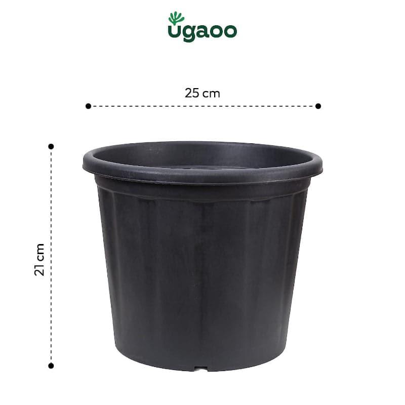 Ugaoo UV Treated Black Plastic Pot (25 CM) - Set Of Three media 5