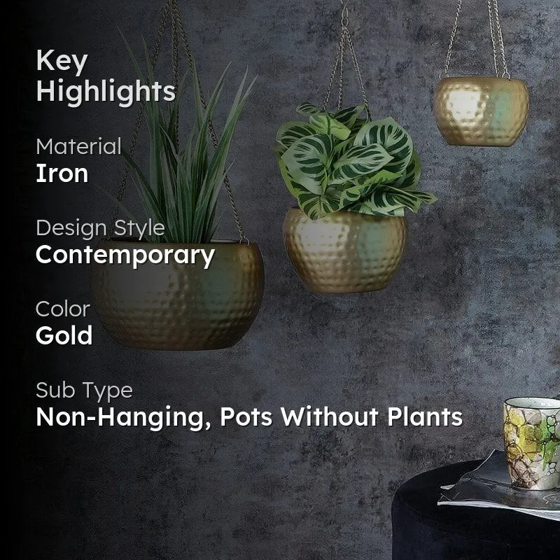 Dolema Hanging Planter - Set Of Three media 2