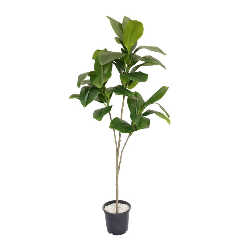 Bloomora Artificial Fiddle Fig Plant With Black Plastic Pot - 3.1 Feet media 6
