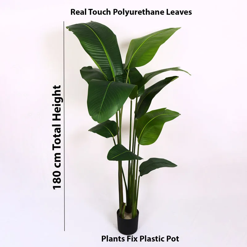 Verdiq Artificial Banana Plant With Black Plastic Pot - 6 Feet media 6