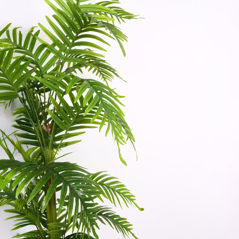 Verdiq II Artificial Plant With Black Plastic Pot - 6 Feet media 6