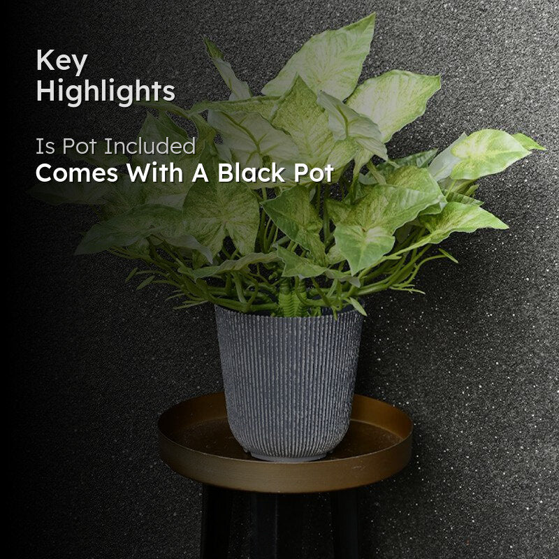 Caladix Artificial Caladium Plant With Black Plastic Pot - 40 cm media 2