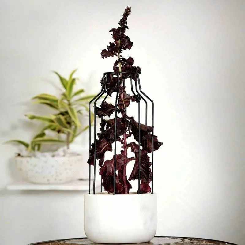 Black Mesh Eartha Hand Crafted Marble Planter - White media 3