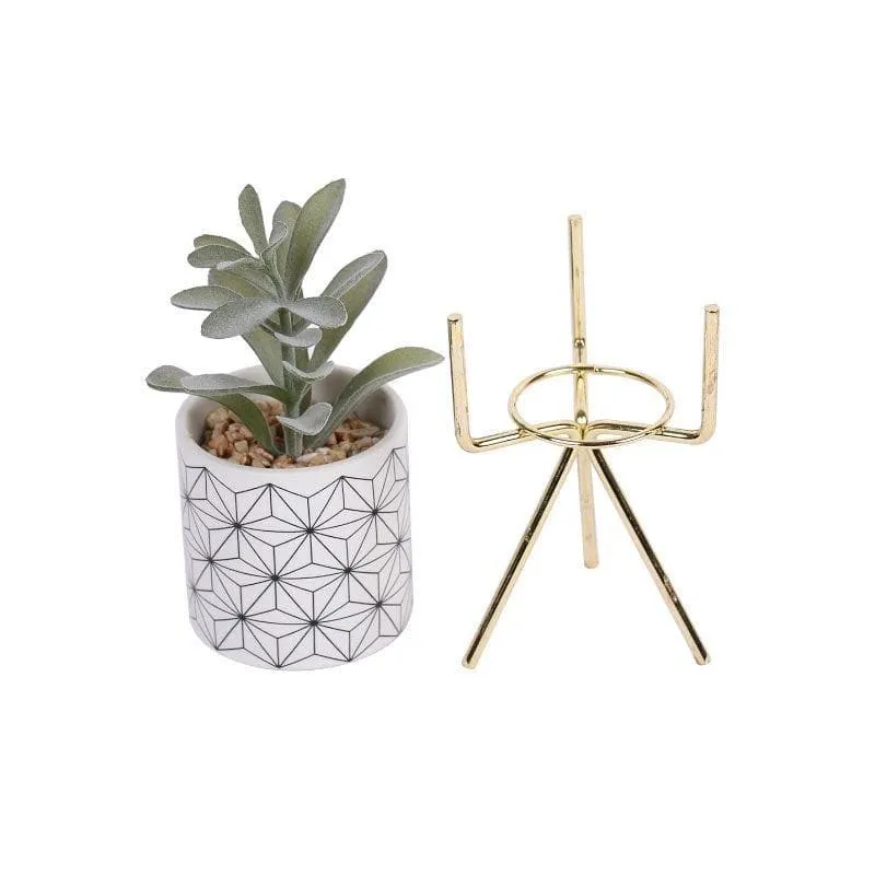 Faux Succulent In Minimalist Pot With Tripod - 23.5 cms media 4