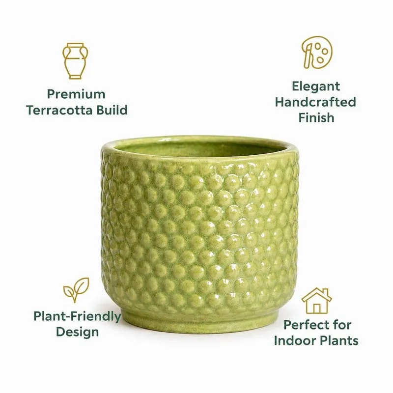 Green ceramic bubble-textured planter styled with an indoor plant