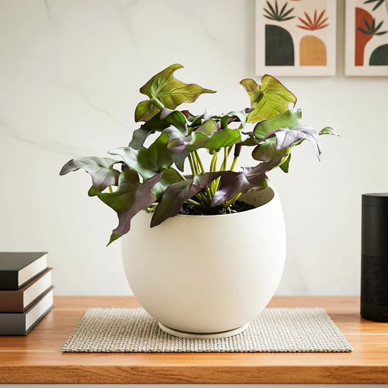 Ivella Artificial Mini Ivy Plant With Black Plastic Pot (Purple) - 14 cm media 1