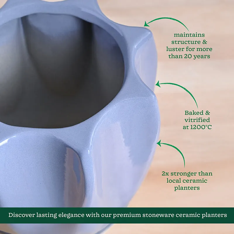 Ugaoo Pebble Pod Ceramic Planter - Grey media 5