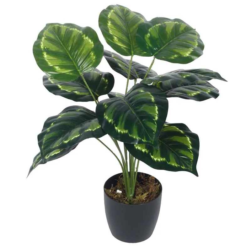 Faux Lush Krasten Monstera Plant With Black Plastic Pot - 1.8 Feet media 3