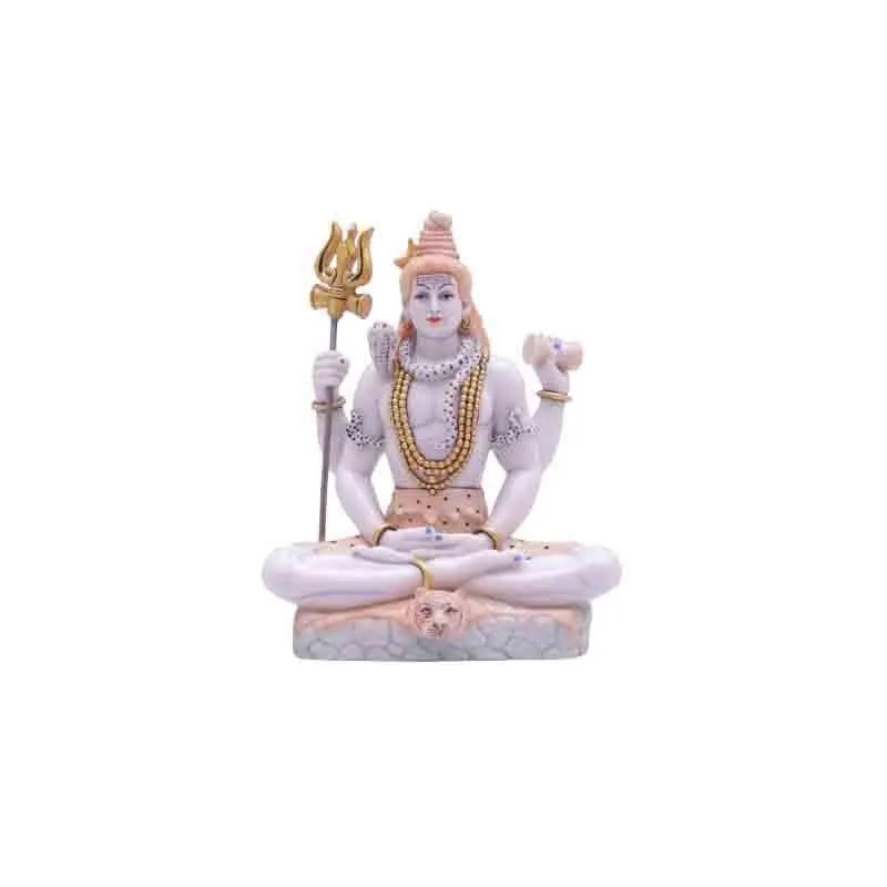 Shiv Shambhu Idol media 4