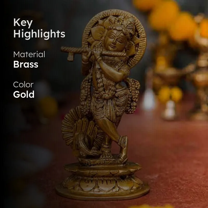 Krishna Murari Idol media 2