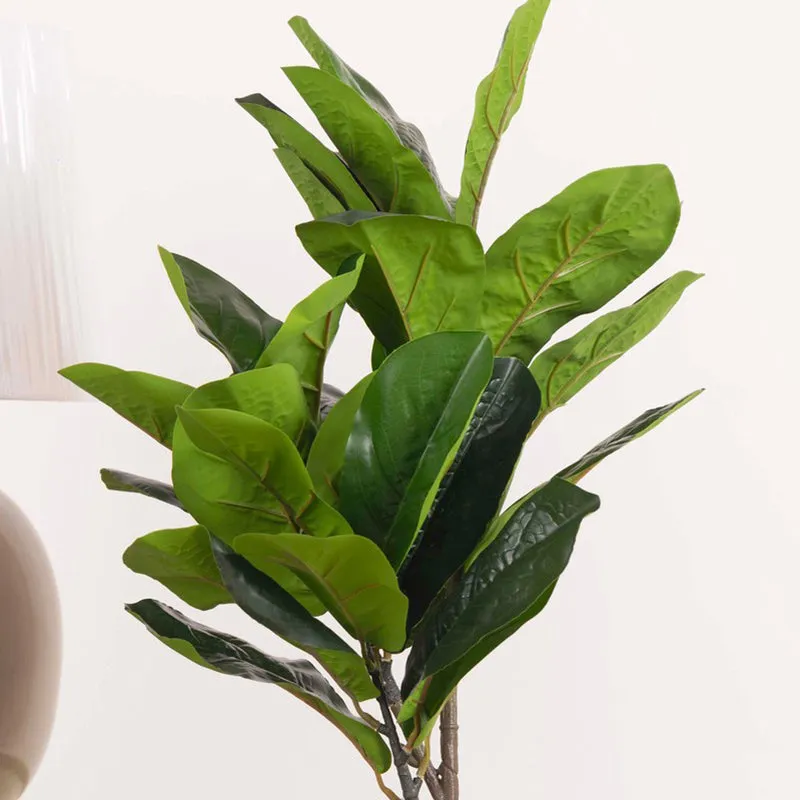 Artificial Small Rubber Plant Without Pot - 2.2 Feet media 4