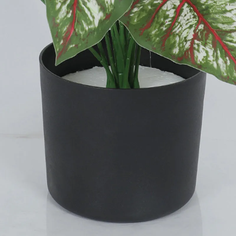 Calena Artificial Caladium With Black Plastic Pot - 2.3 Feet media 4
