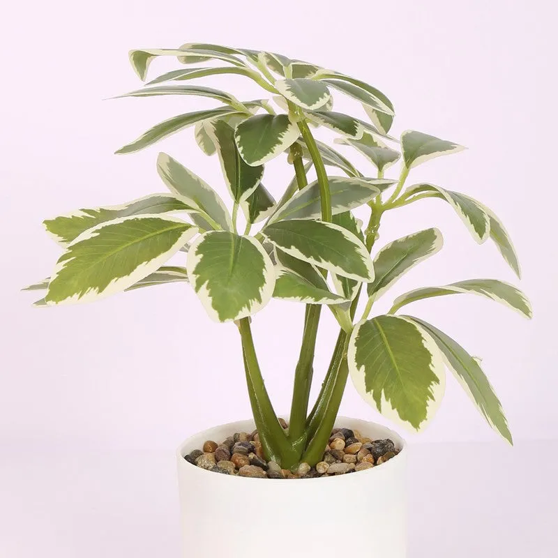 Schefflera Artificial Plants With Pot media 4