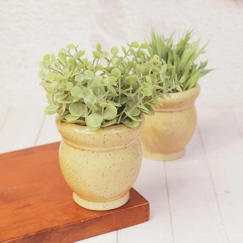 GoldenSprout Planters - Set Of Two media 4