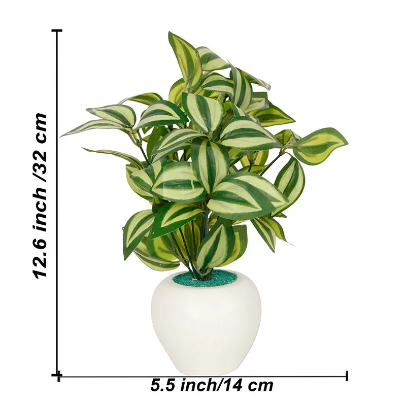 Draconis Artificial Plant With Black Plastic Pot - 1 Feet media 5
