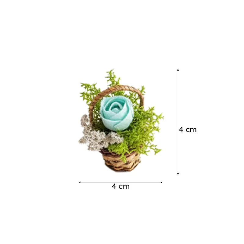 Tritona Mini Dried Flower Basket - Set Of Six media 5