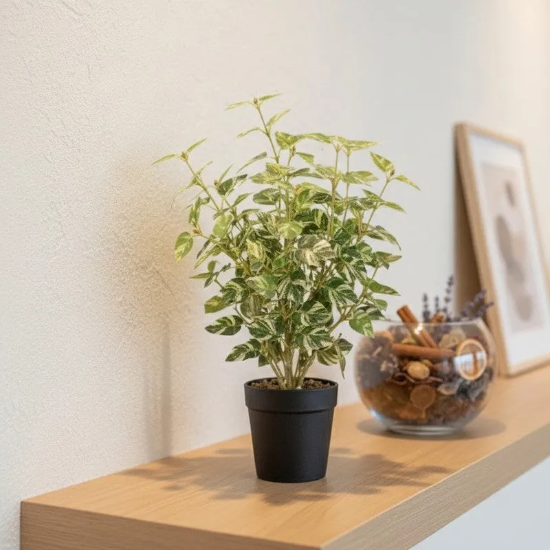 Artificial Pothos Plant With Black Fiber Pot (White) - 1 Feet media 5