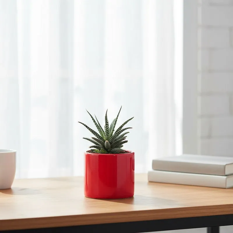 Ugaoo Pipe Red Ceramic Pot media 3