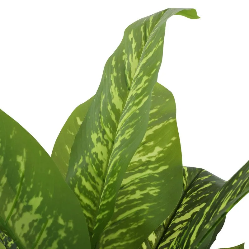Artificial Dieffenbachia Plant With Black Plastic Pot 3 ft media 6