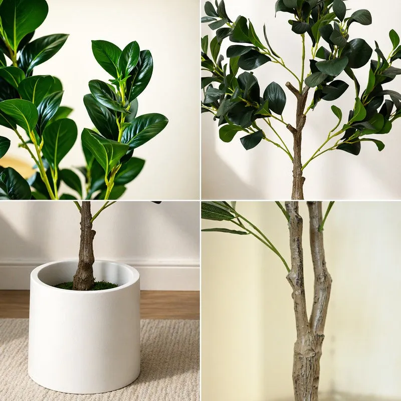 EverGreen Ficus Artificial Plant With Black Plastic Pot - 91 cm (3 ft) media 4