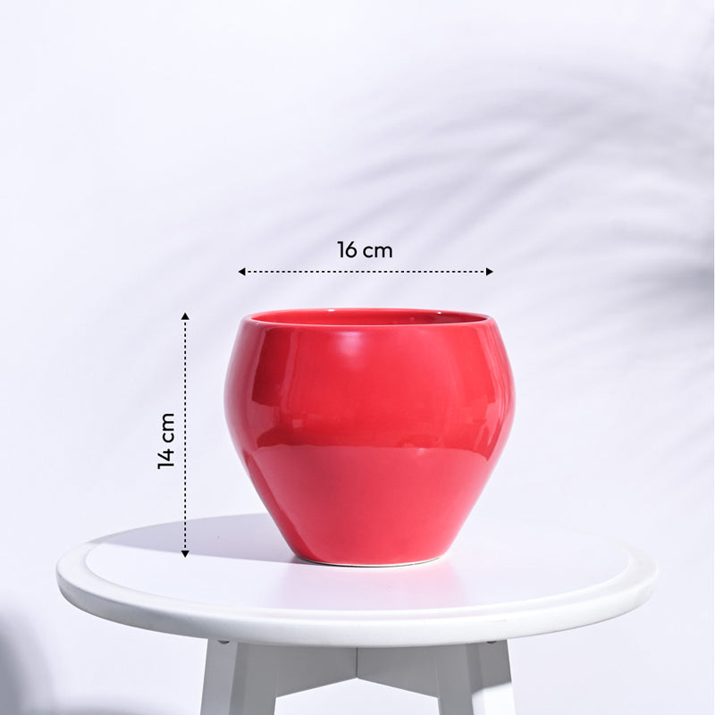 Ugaoo Apple Red Ceramic Pot- Medium media 6