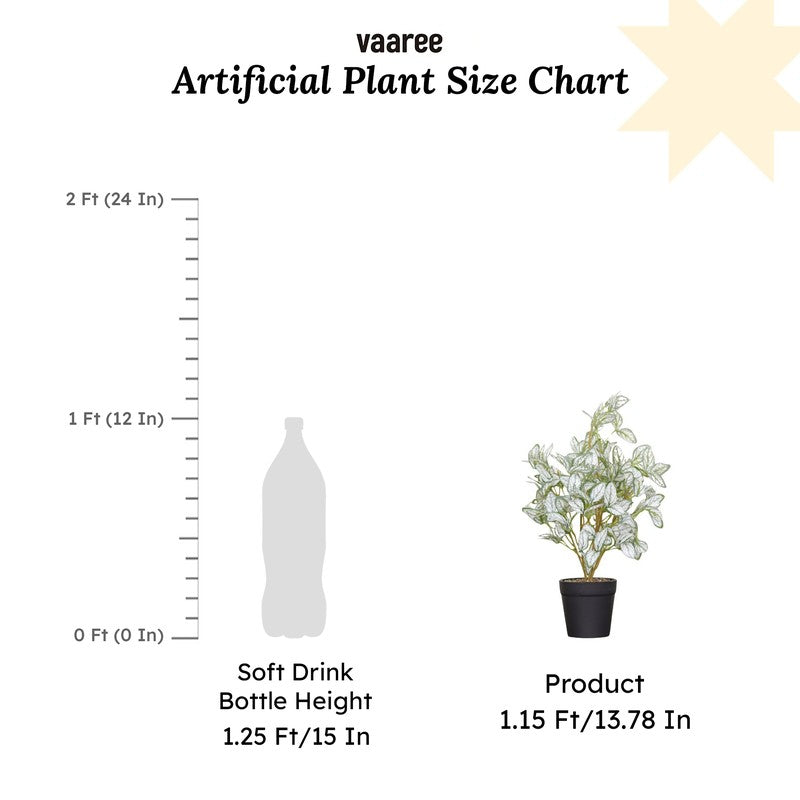 Artificial Ficus Starlight Plant With Black Fiber Pot - 1 Feet media 7