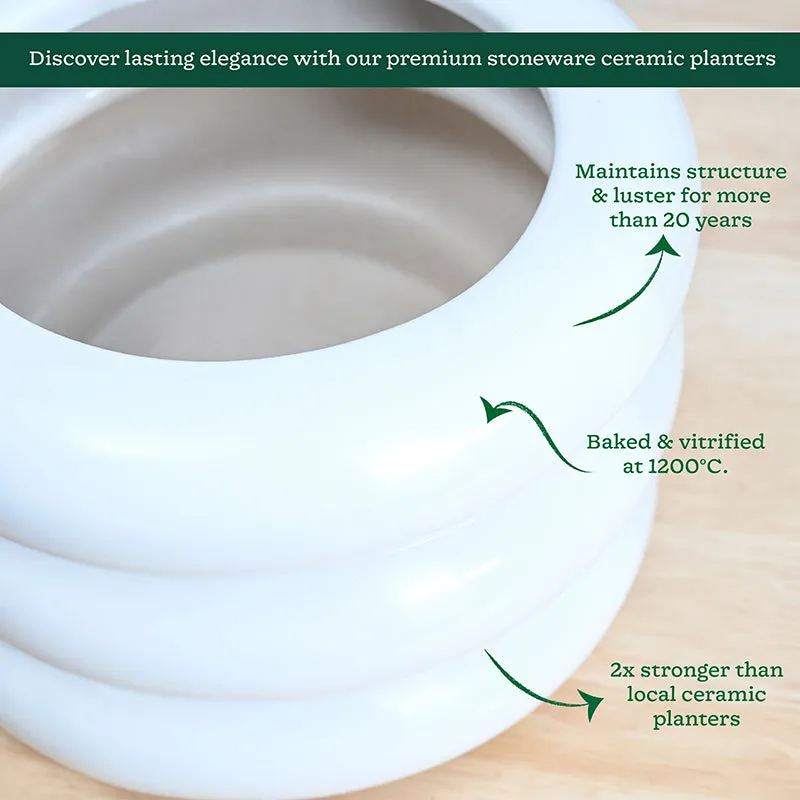 Ugaoo Ceramicurve Three Layer Ceramic Planter - White media 5